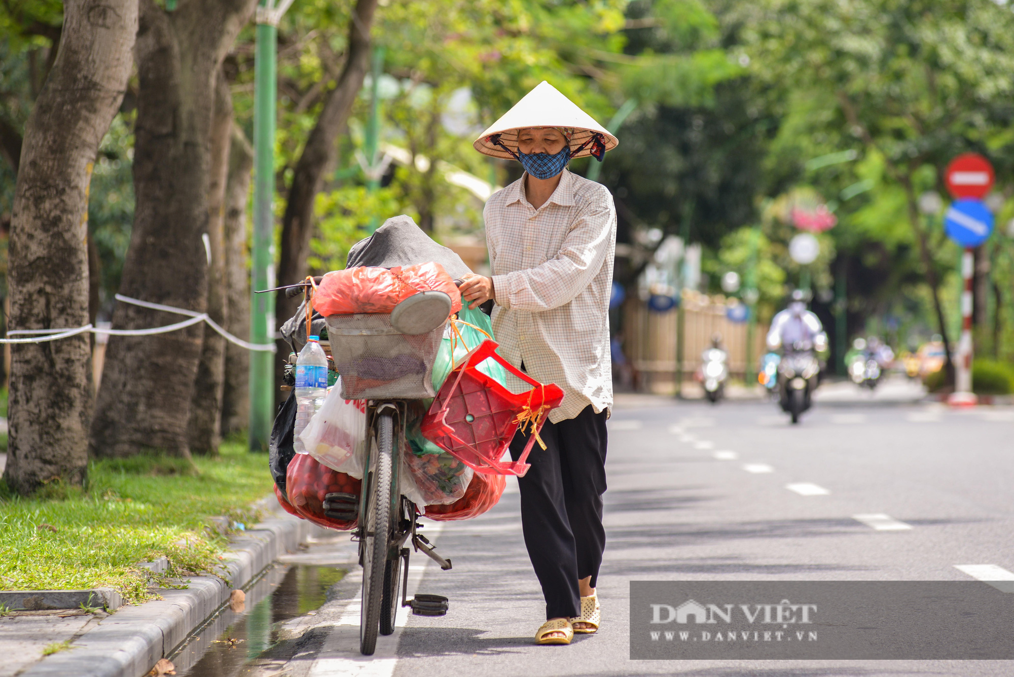 Các tuyến đường Hà Nội hạ nhiệt trong ngày nóng nhờ &quot; dàn điều hòa xanh&quot; - Ảnh 2.
