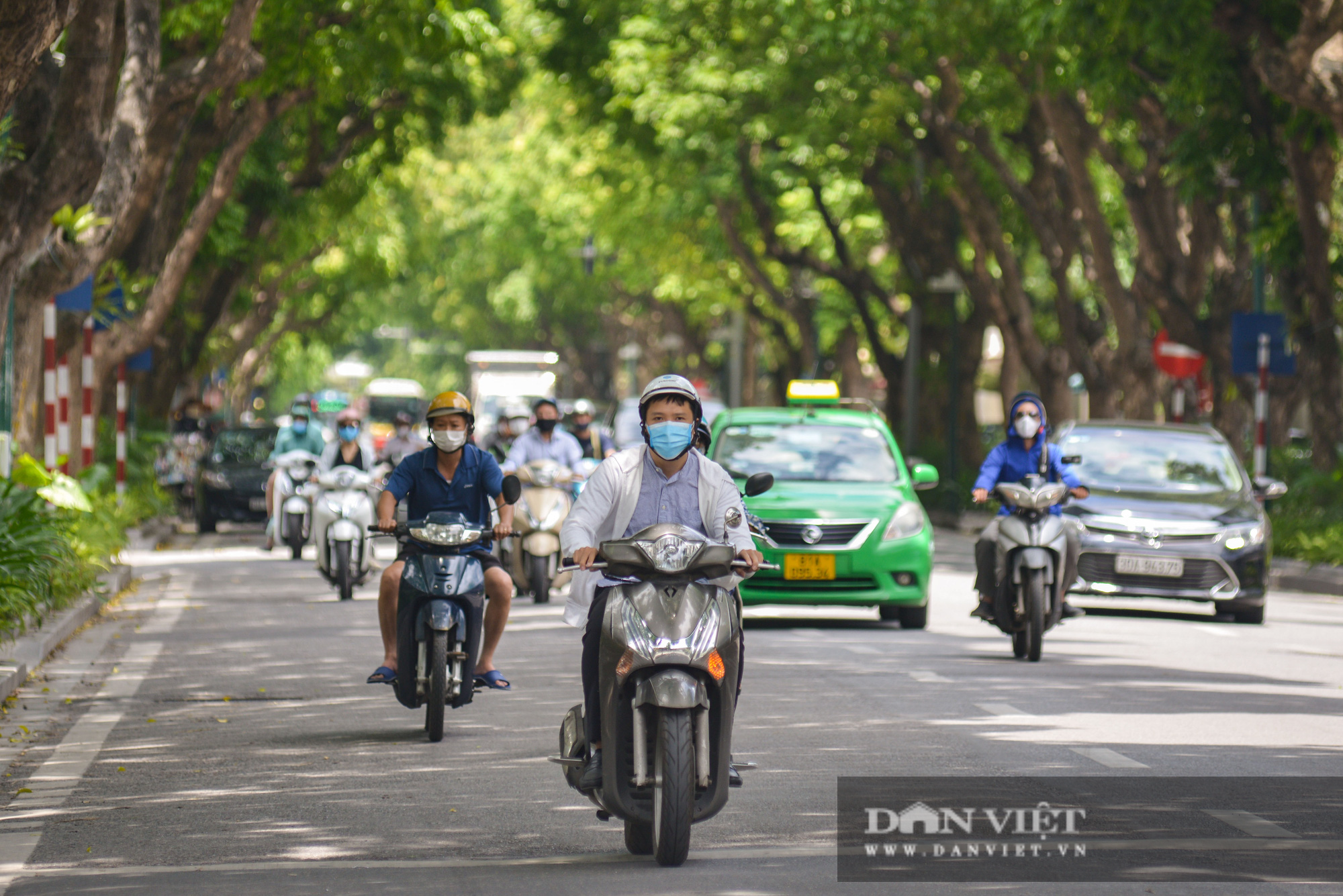 Các tuyến đường Hà Nội hạ nhiệt trong ngày nóng nhờ &quot; dàn điều hòa xanh&quot; - Ảnh 8.