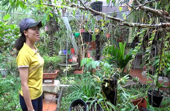 Thanh Hóa: Trồng hoa phong lan rừng, treo đầy nhà, sơn nữ còn mong muốn điều ai nghe cũng bất ngờ - Ảnh 5.