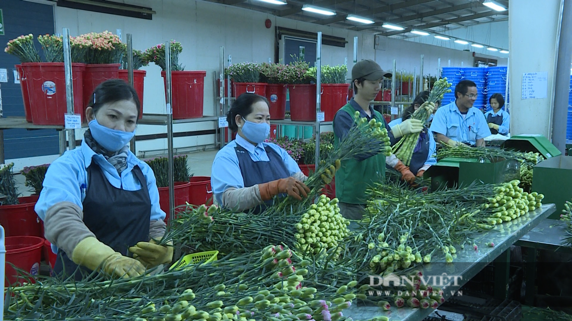 Lâm Đồng: Giá thuê đất nông nghiệp &quot;trên trời&quot; khiến nhà đầu tư “e ngại” - Ảnh 4.