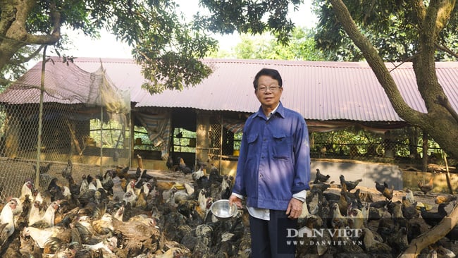 gop/Nông dân Quốc Oai làm giàu từ các mô hình chăn nuôi - Ảnh 1.