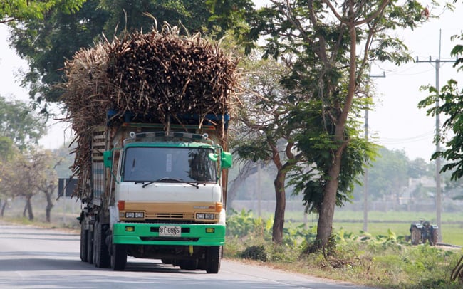 Xe tải chở mía mới thu hoạch về nhà máy ở Thái Lan. Ảnh BangkokPost