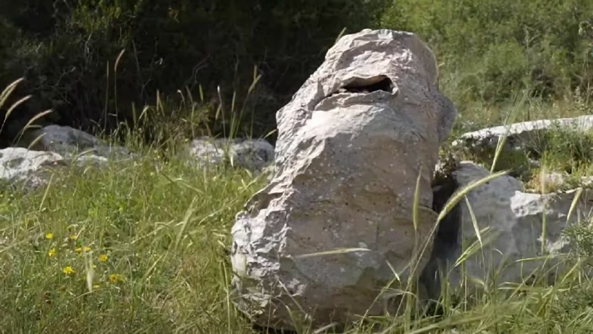 Bộ áo 'người vô hình' Camo thế hệ mới được công bố tại Israel - Ảnh 1.