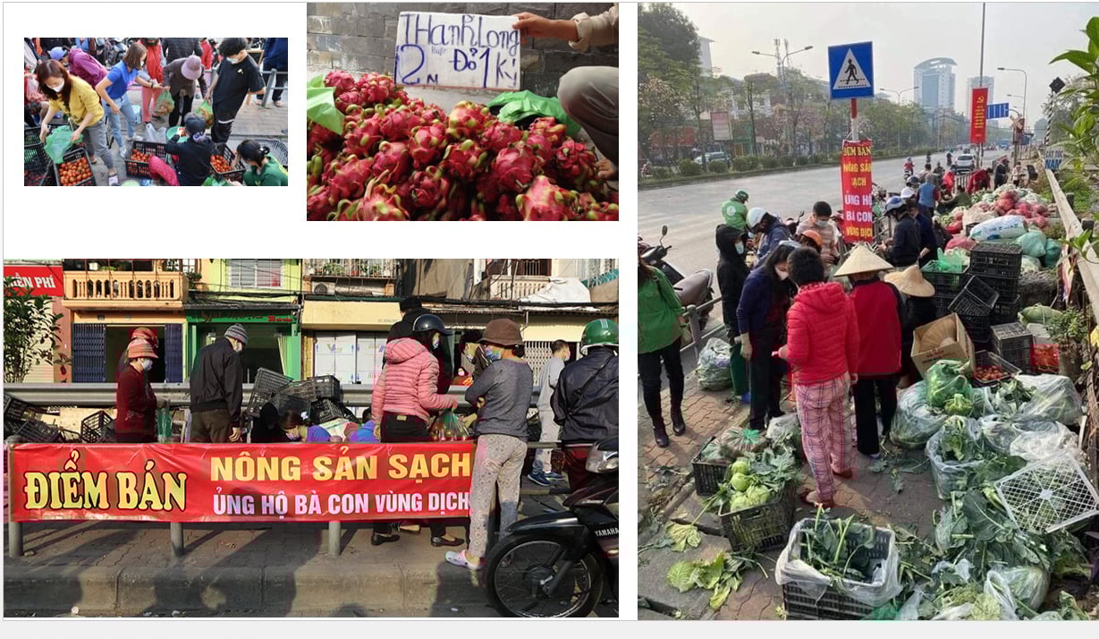Bộ trưởng Lê Minh Hoan: Giải cứu làm tổn thương thêm nông dân, Bộ NNPTNT cùng 3 đoàn thể sẽ bán nông sản cho ND - Ảnh 6.