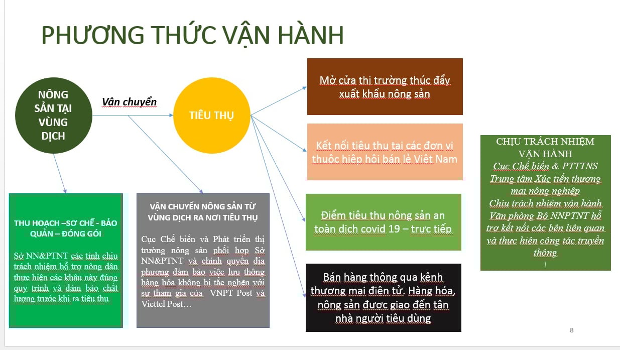 Bộ trưởng Lê Minh Hoan: Giải cứu làm tổn thương thêm nông dân, Bộ NNPTNT cùng 3 đoàn thể sẽ bán nông sản cho ND - Ảnh 7.