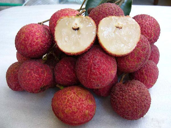 Những loại trái cây không hạt “giá chát” vẫn hút khách - Ảnh 6.