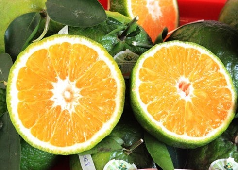Dù giá có cao đến đâu thì 7 loại trái cây không hạt này  vẫn &quot;làm mưa làm gió&quot; trên thị trường - Ảnh 13.