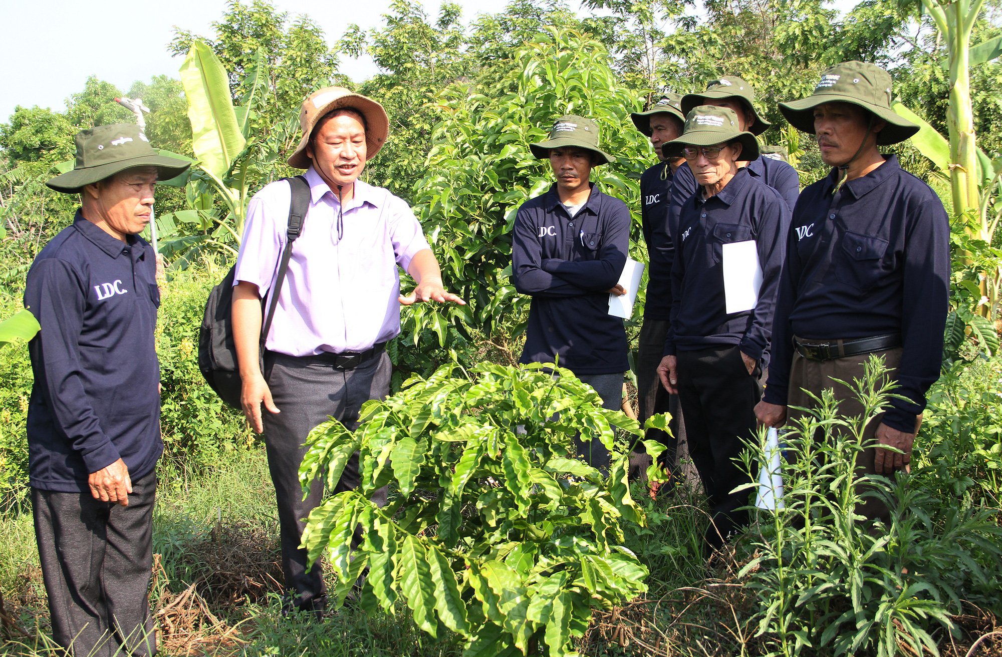 Chương trình cảnh quan bền vững giảm chi phí, tăng thu nhập cho nông dân - Ảnh 1.