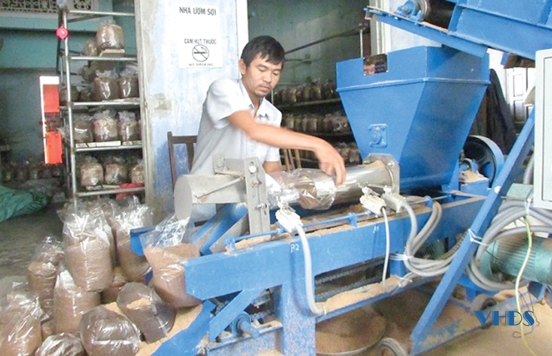 Anh thanh niên Thanh Hóa 36 tuổi đã có 3 sản phẩm OCOP trong tay từ cây nấm, doanh thu tiền tỷ mỗi năm - Ảnh 2.