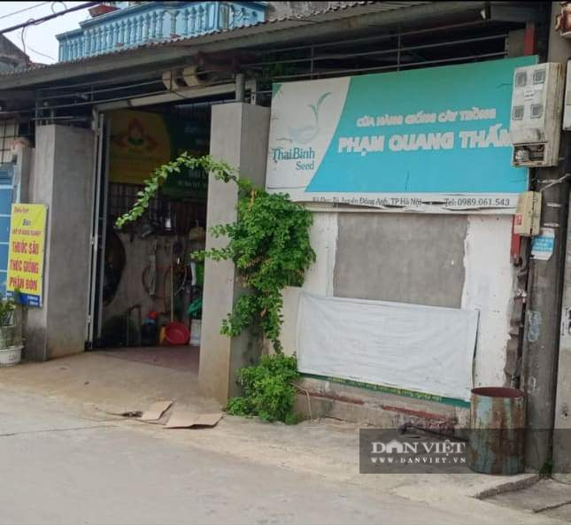 Hà Nội: Ngang nhiên bán giống lúa lạ cho dân - Ảnh 1.