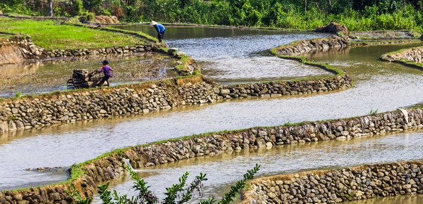 Bình Định: Lạ lùng những bờ đá chạy dài vô tận đẹp mê li, mỏng manh nhưng không bị lũ cuốn trôi - Ảnh 1.
