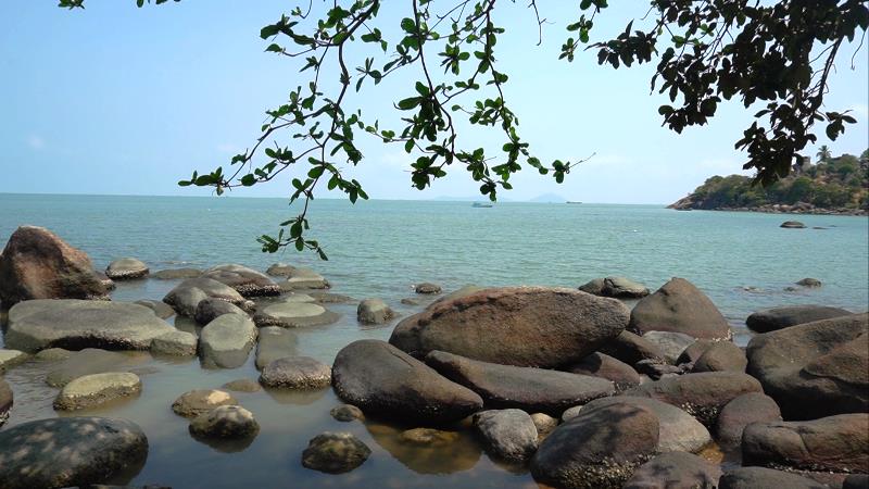 Kiên Giang: Vùng biển này còn vô số đặc sản tôm tích, dân lột vỏ tôm thoăn thoắt, ai đến xem cũng bất ngờ - Ảnh 4.