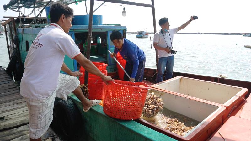 Kiên Giang: Vùng biển này còn vô số đặc sản tôm tích, dân lột vỏ tôm thoăn thoắt, ai đến xem cũng bất ngờ - Ảnh 1.