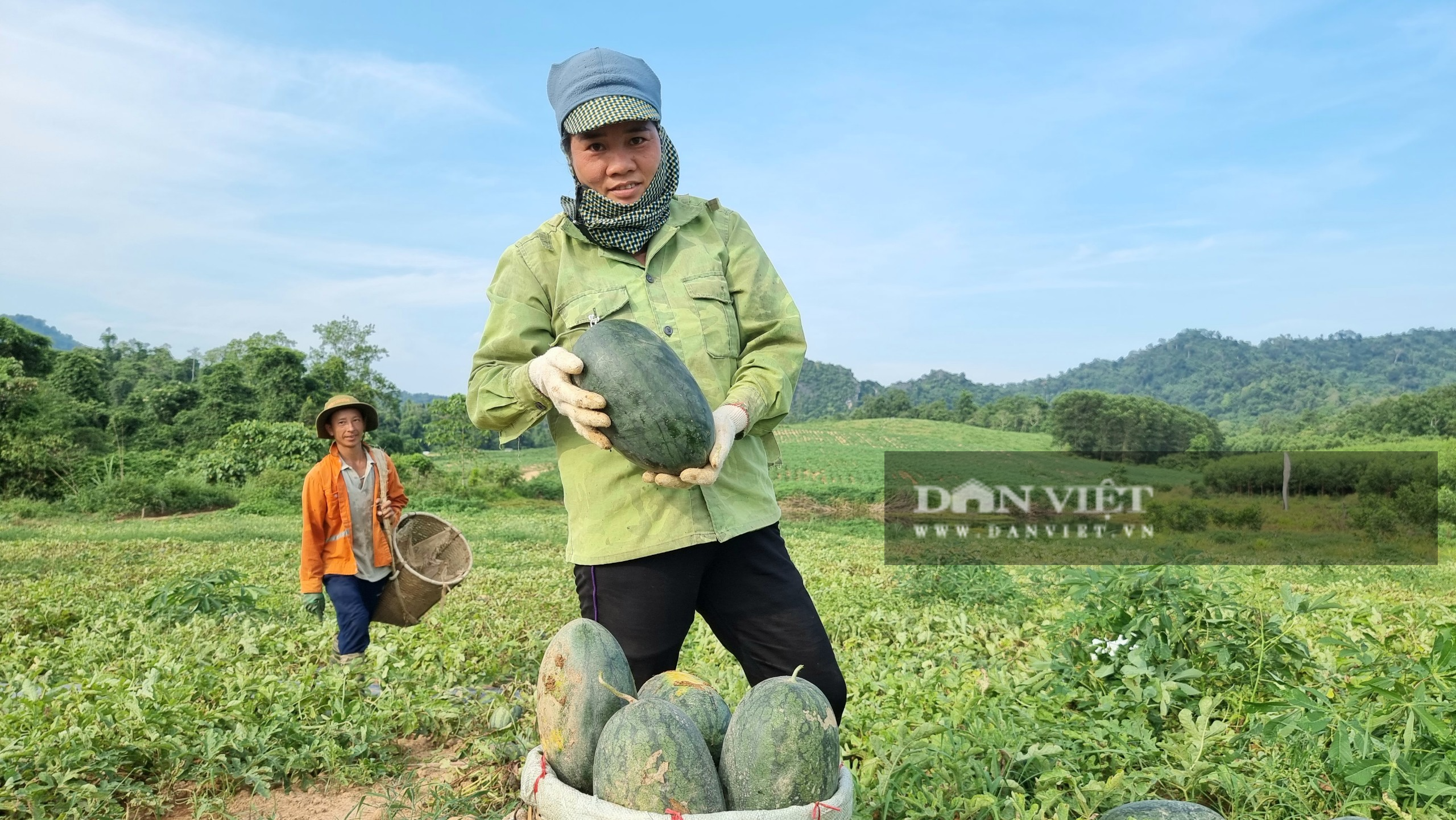 Nông dân Thanh Hóa “chang” dưới nắng nóng 38 độ C thu hoạch dưa hấu - Ảnh 4.