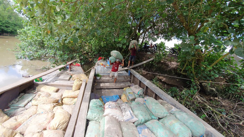 Vĩnh Long: Giá 1 ký khoai lang không bằng ly trà đá, nông dân trắng tay - Ảnh 6. Vĩnh Long: Giá 1 ký khoai lang không bằng ly trà đá, nông dân trắng tay - Ảnh 6.