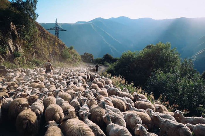 Tour mạo hiểm trải nghiệm tuyến đường du mục Tusheti, chiêm ngưỡng “thế giới thần tiên đang ngủ yên” - Ảnh 4.