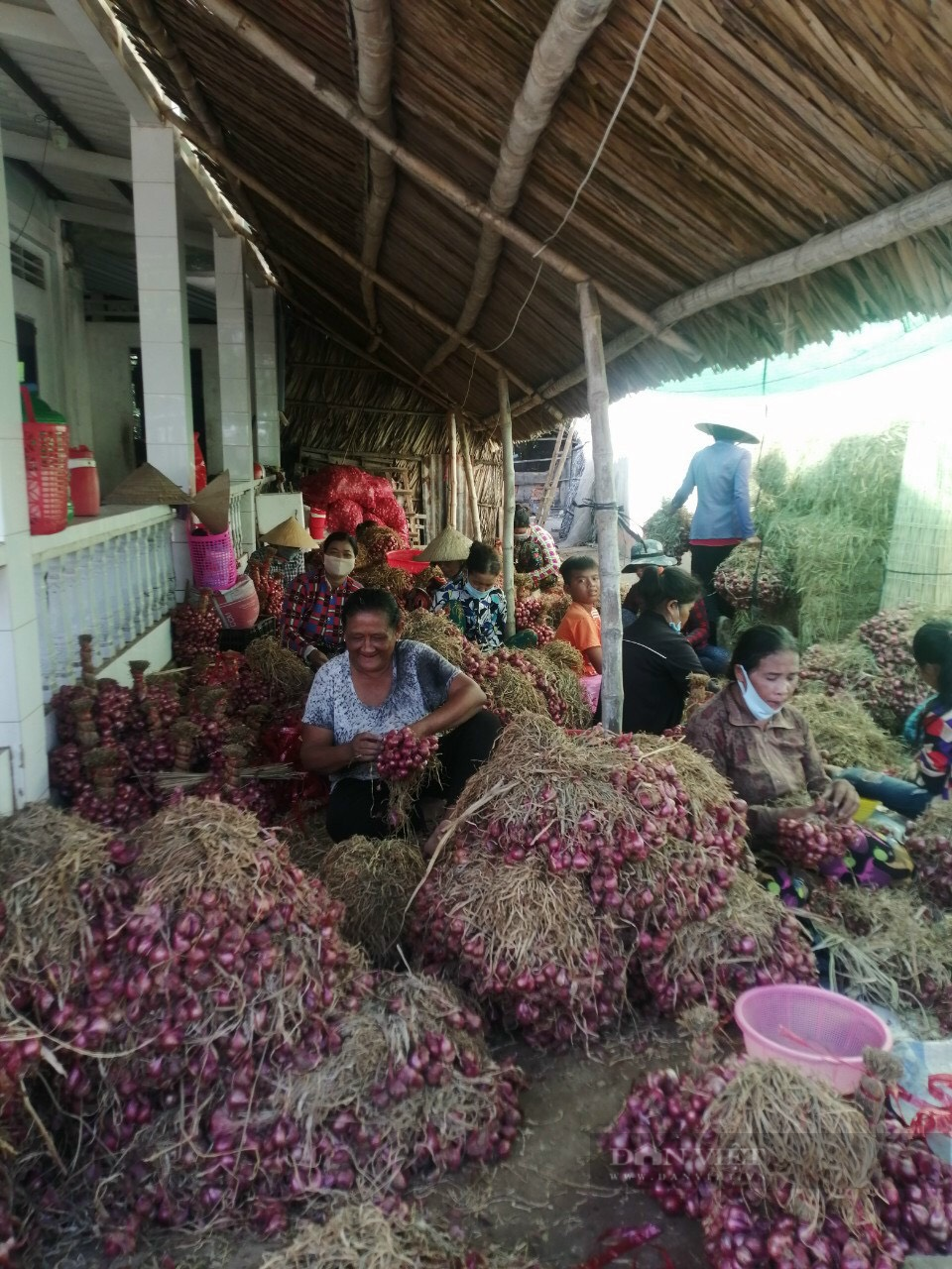 Bà Rịa – Vũng Tàu: Hội Nông dân dùng công nghệ mạng hỗ trợ tiêu thụ nông sản cho nông dân trong dịch Covid-19 - Ảnh 5.