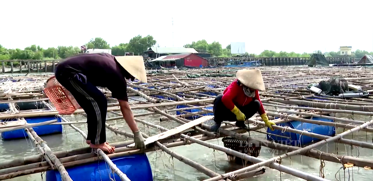 Bà Rịa – Vũng Tàu: Hội Nông dân dùng công nghệ mạng hỗ trợ tiêu thụ nông sản cho nông dân trong dịch Covid-19 - Ảnh 6.