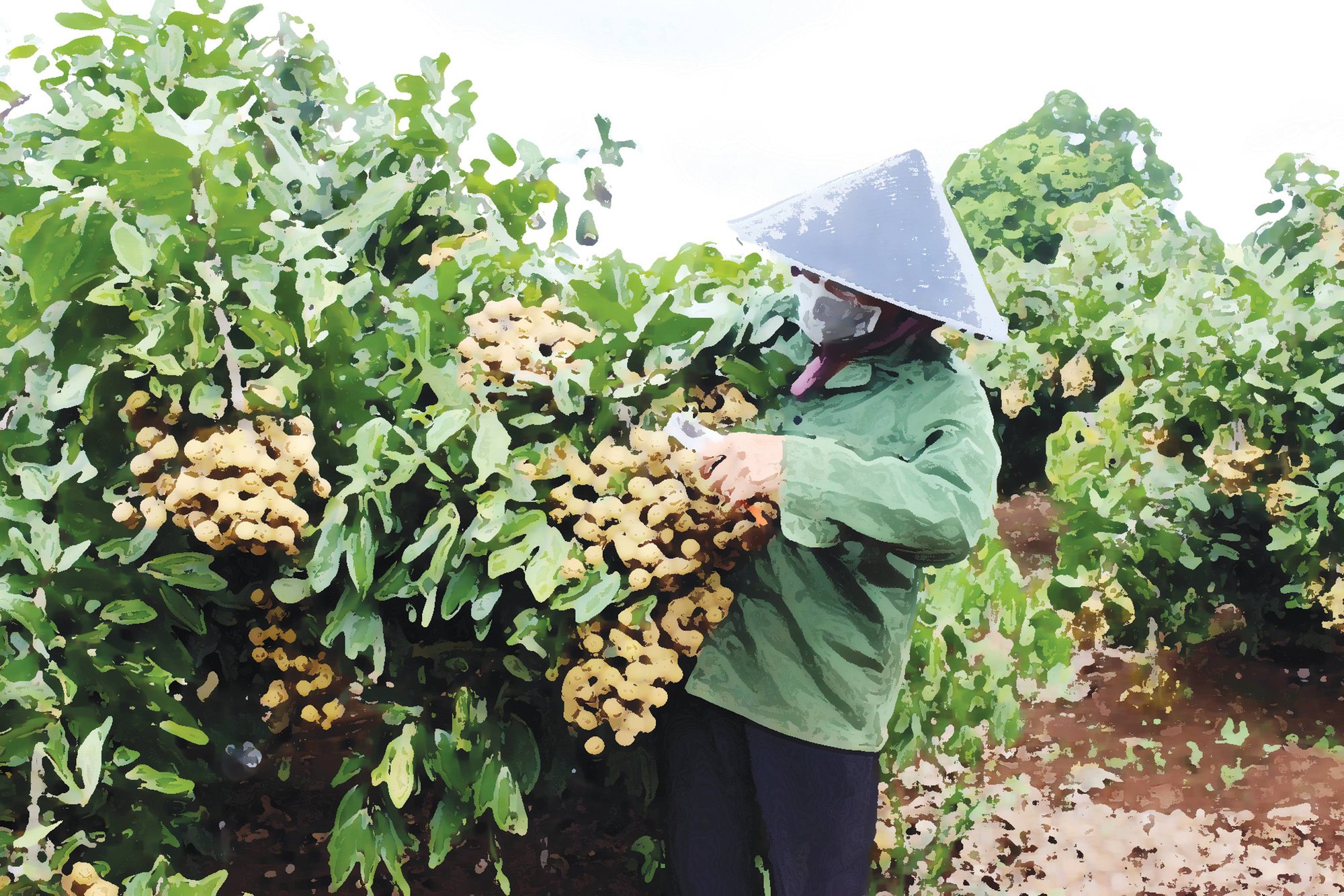Truyện dự thi: Lên sóng - Ảnh 1.