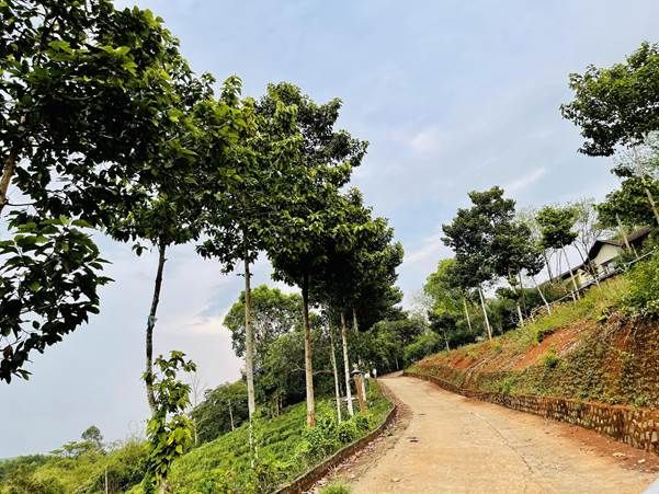Felicia City Bình Phước: Pháp lý hoàn thiện gắn với tiêu chuẩn “sống xanh” - Ảnh 4.