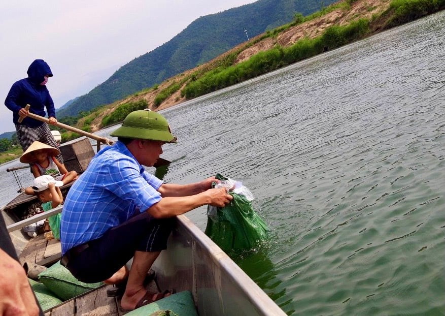Quảng Bình: Thả hơn 435.000 cá lóc, cá chép, cá rô phi... tái tạo nguồn lợi thủy sản - Ảnh 2. Quảng Bình: Thả hơn 435.000 cá lóc, cá chép, cá rô phi... tái tạo nguồn lợi thủy sản - Ảnh 2.
