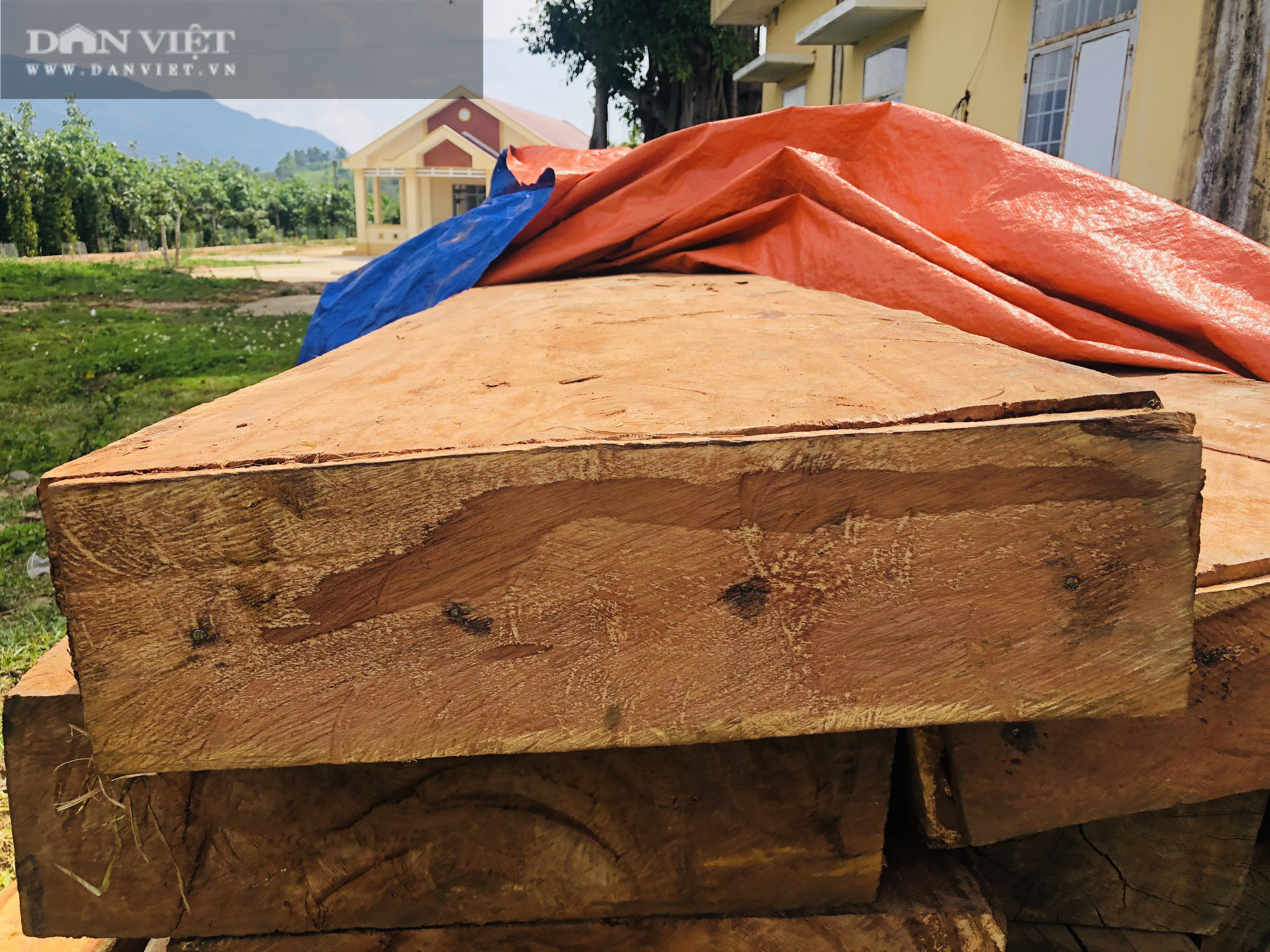 Vụ từng đoàn lâm tặc rầm rộ chuyển gỗ xuống núi: UBND xã chỉ quản lý 1 tiểu khu rừng vẫn bị phá “tan hoang” - Ảnh 14.