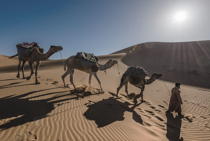 Marocco: Trải nghiệm độc đáo với lễ hội Kết hôn và “Trò chơi thuốc súng” của bộ lạc Berber - Ảnh 2.