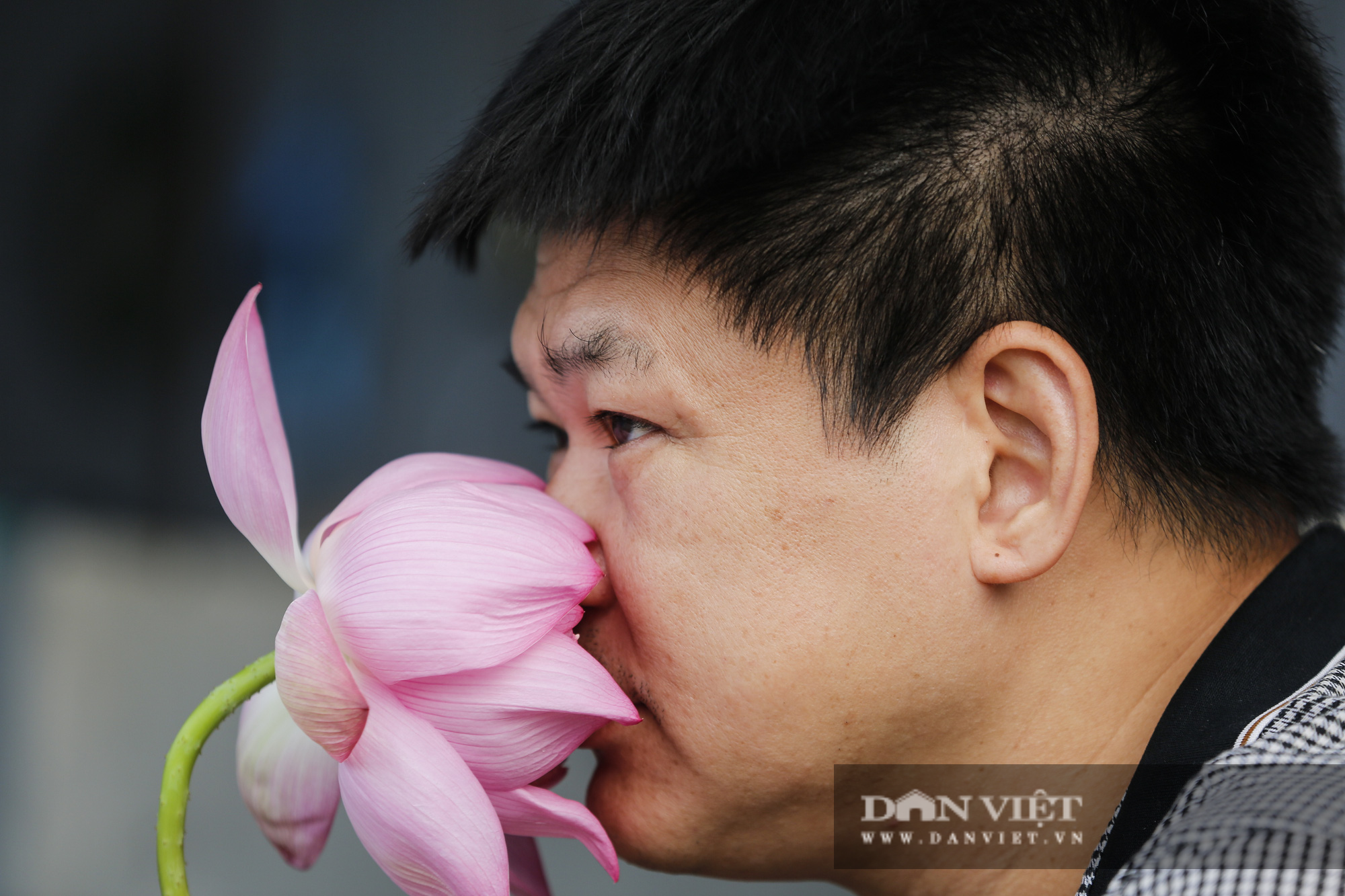Người trồng sen hồ Tây tất bật thu hoạch, bán bao nhiêu cũng hết - Ảnh 11.
