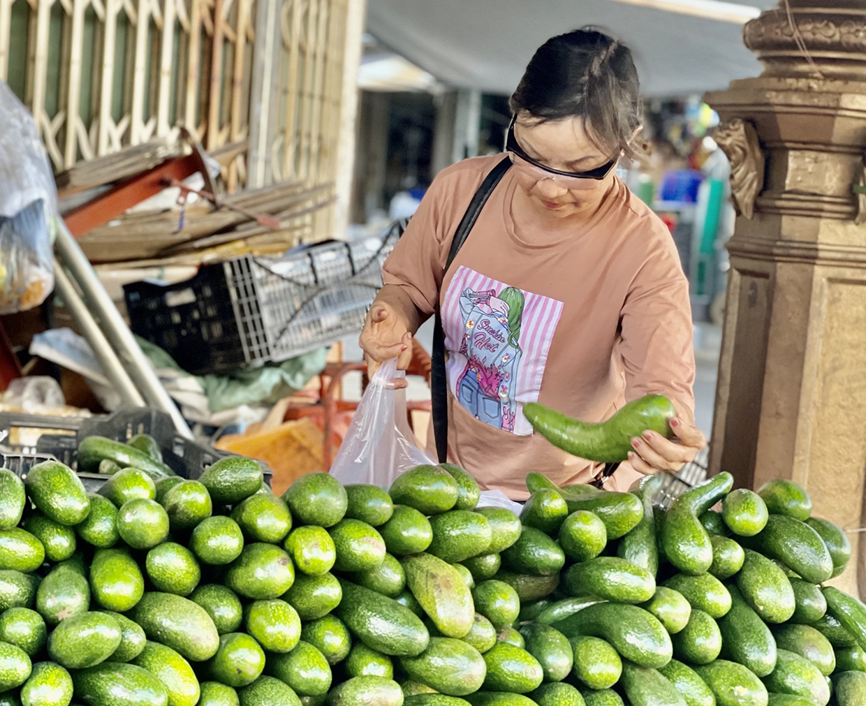 Gia Lai: Giá bơ 034 rẻ chưa từng thấy, trồng bơ đã mất mùa nay nông dân lại gặp cảnh mất giá - Ảnh 1.