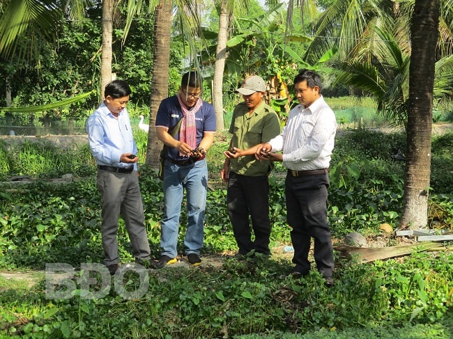 Bình Định: Nuôi con &quot;siêu đẻ&quot;, ổ trứng trắng như bạch ngọc, đều tăm tắp, nông dân khá giả - Ảnh 1.