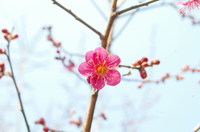 Bạn muốn ly hôn vào lúc nào? Chuyện nghiêm túc đôi khi vì lý do rất... vớ vẩn - Ảnh 3.