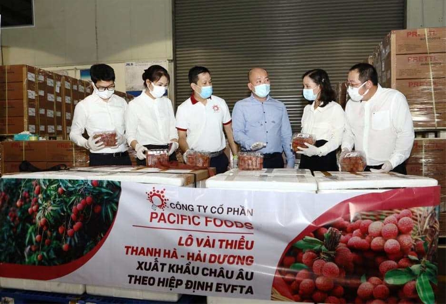 Vắng khách, khoang máy bay chất đầy một loại nông sản của Việt Nam chở thẳng sang Nhật Bản bán giá cao - Ảnh 2.