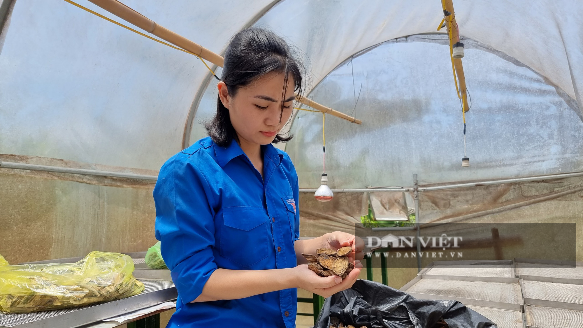 “Hot girl” người dân tộc Thổ bỏ cuộc sống nơi phồn hoa đất Hà Thành, về núi hồi sinh rừng theo hướng tự nhiên - Ảnh 5.