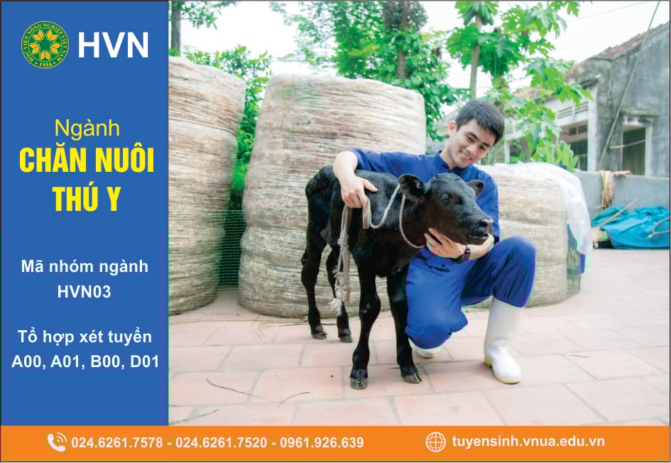 Chăn nuôi thú y: Rộng mở cơ hội việc làm - Ảnh 1.