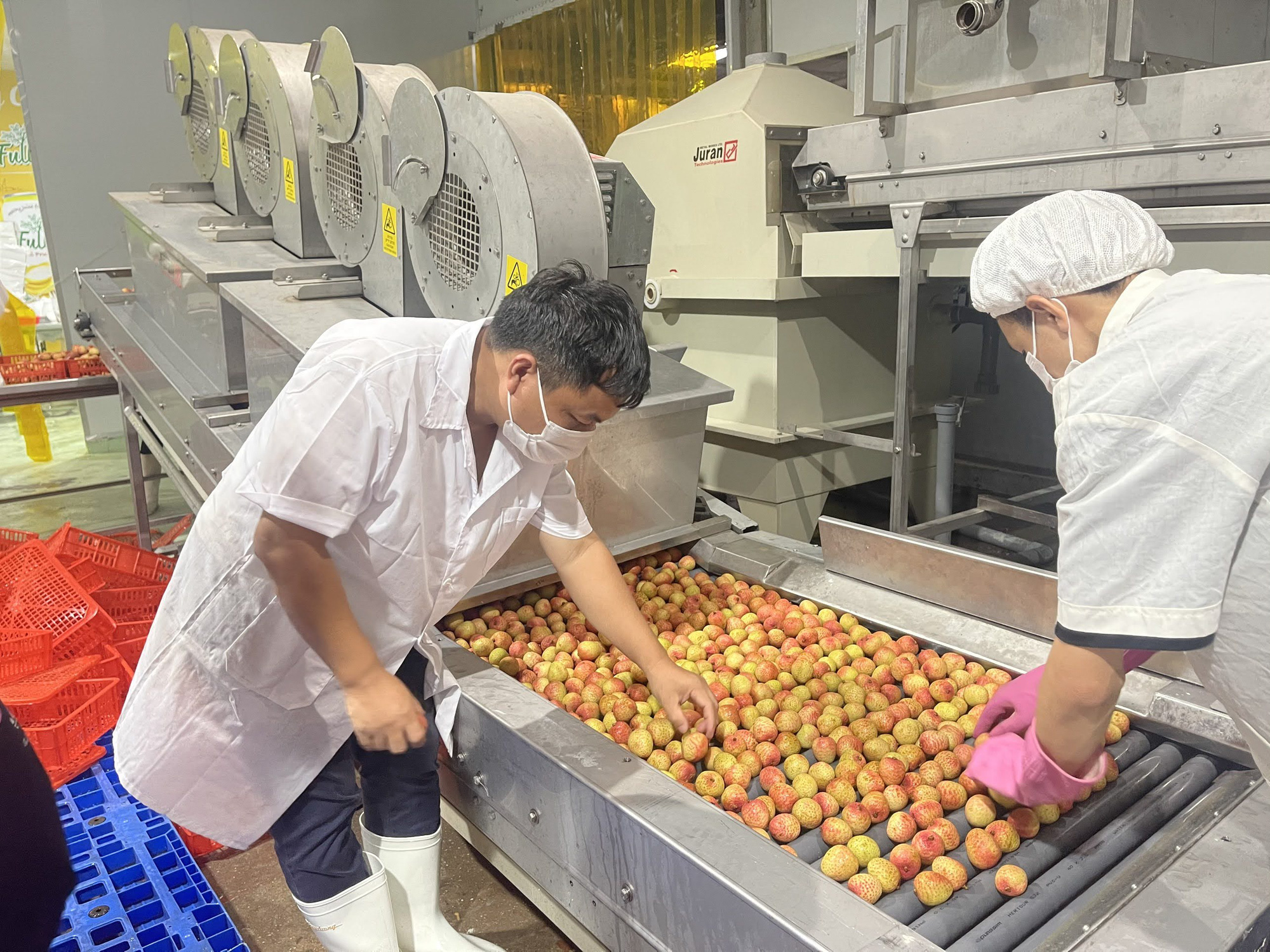 Đại sứ đặc mệnh toàn quyền Việt Nam tại Nhật Bản: Nhiều người Nhật tiếc hùi hụi vì chưa được ăn vải thiều - Ảnh 3.