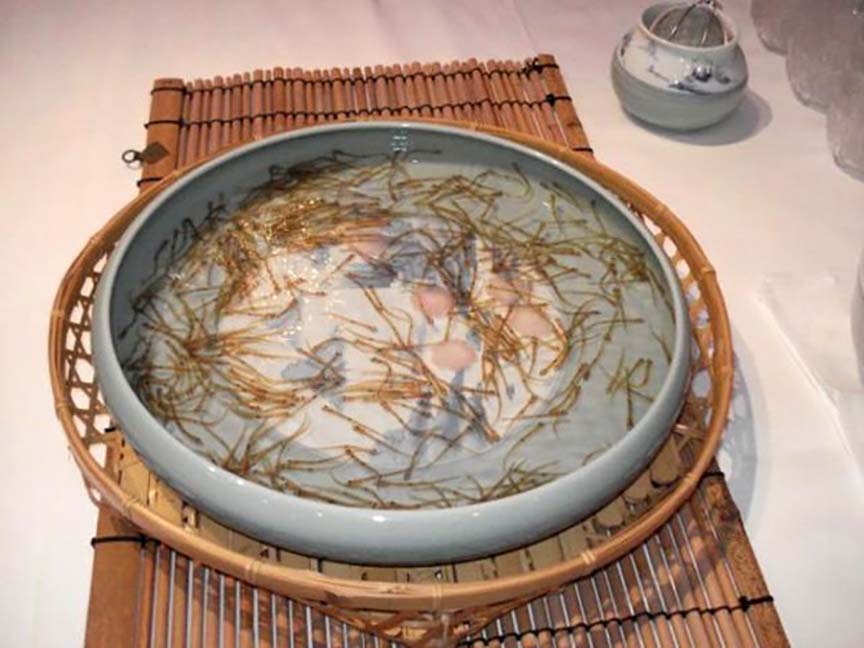 Khách du lịch ngỡ ngàng khi thưởng thức đặc sản “nhảy múa” trong miệng ở xứ Phù tang - Ảnh 3.