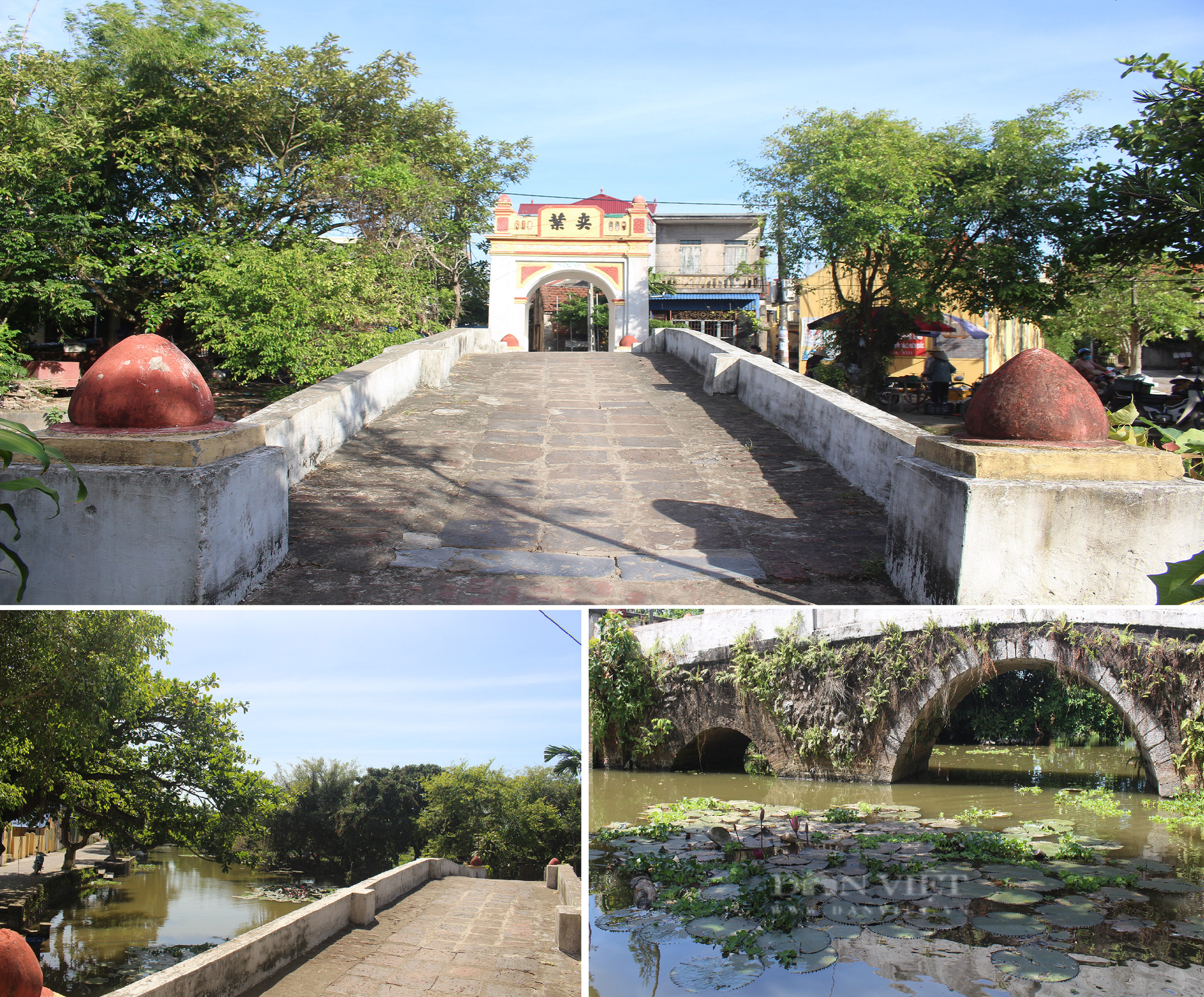 Về Nam Định thăm làng cổ Dịch Diệp nghe tiếng thoi đưa, ngắm &quot;bổ đề đại lão&quot; nghìn tuổi - Ảnh 2.