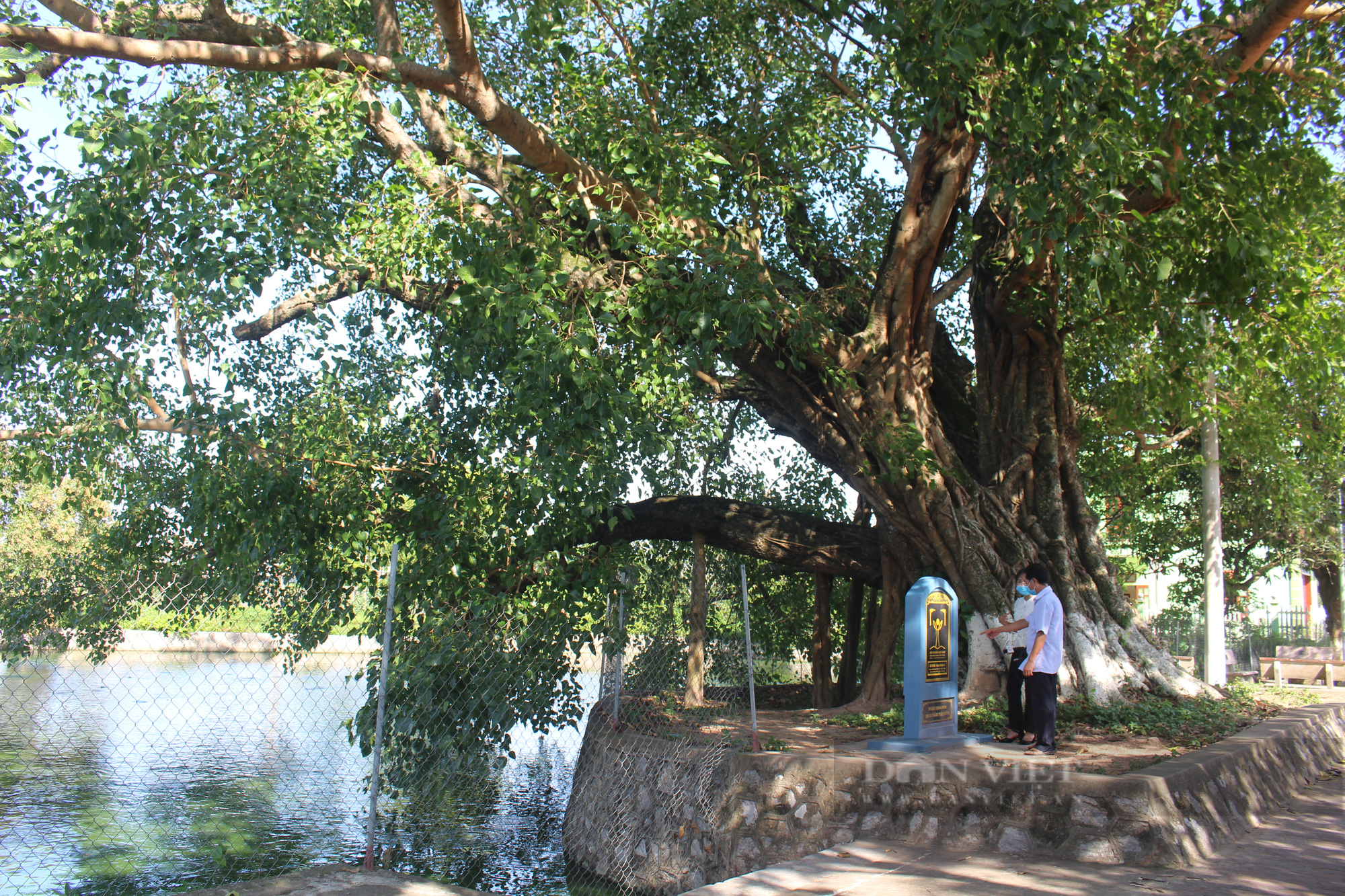 Về Nam Định thăm làng cổ Dịch Diệp nghe tiếng thoi đưa, ngắm &quot;bổ đề đại lão&quot; nghìn tuổi - Ảnh 8.