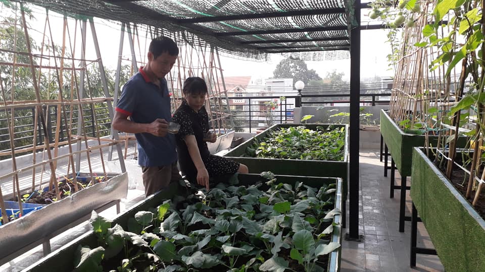 Ông bố đảm Sài Gòn dạy con làm “nông dân sân thượng” - Ảnh 4.