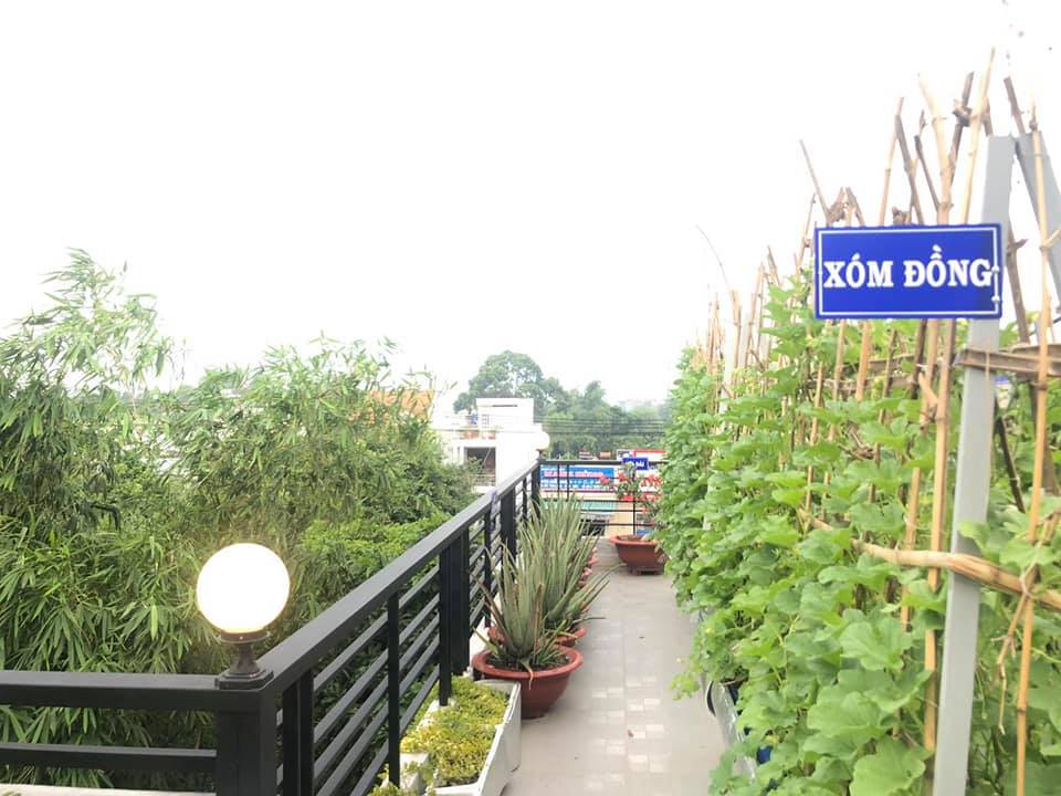 Ông bố đảm Sài Gòn dạy con làm “nông dân sân thượng” - Ảnh 8.