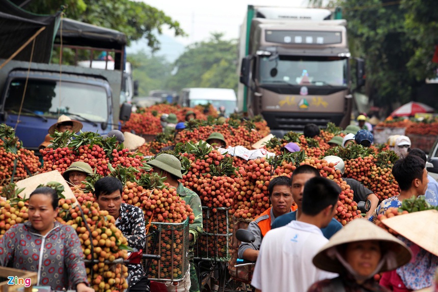 Vụ vải thiều 2021, Bắc Giang thu về hơn 6.800 tỷ đồng - Ảnh 1. Vụ vải thiều 2021, Bắc Giang thu về hơn 6.800 tỷ đồng - Ảnh 1.
