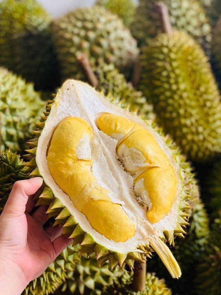 Mách bạn 5 loại quả ăn ban ngày là “thần dược”, ăn buổi tối hậu quả khôn lường - Ảnh 1.