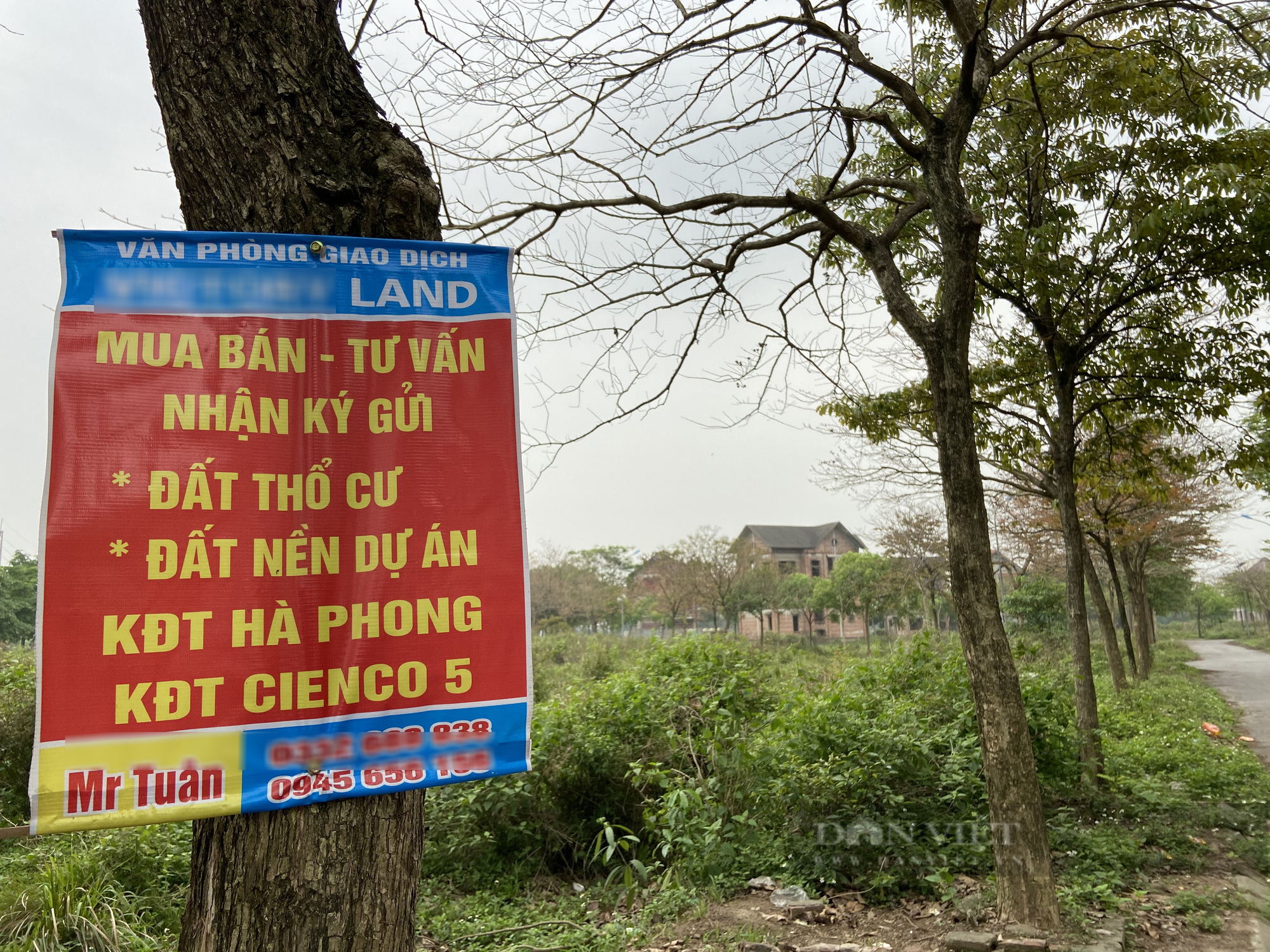 Hệ quả từ 'sốt đất', nhà đầu tư bất động sản đã dè chừng - Ảnh 3.