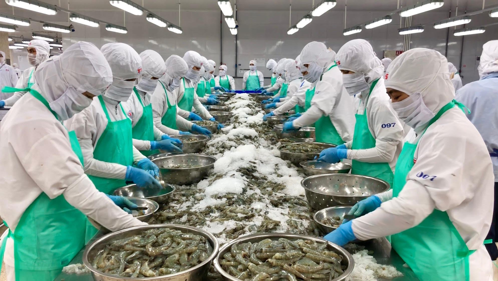 Cà Mau chủ động phương án, tránh nguy cơ “đứt gãy” chuỗi sản xuất thủy sản - Ảnh 3.