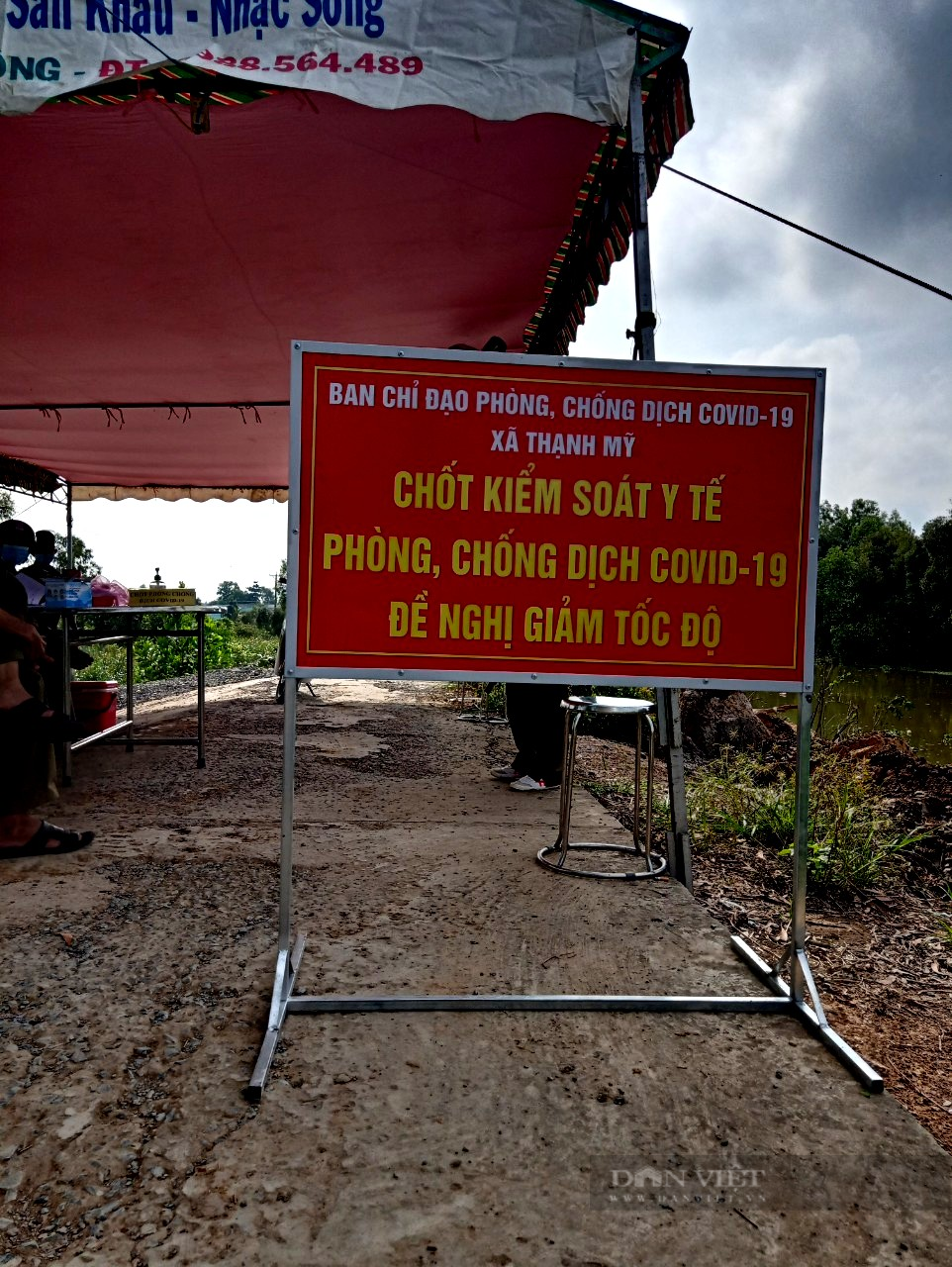Tiền Giang: Khóm chín đầy đồng, nông dân bất lực cắt bán vì không có giấy xét nghiệm âm tính SARS CoV-2 - Ảnh 1.