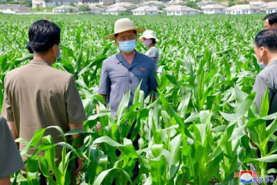 Triều Tiên thừa nhận thiếu lương thực trầm trọng - Ảnh 1. Triều Tiên thừa nhận thiếu lương thực trầm trọng - Ảnh 1.