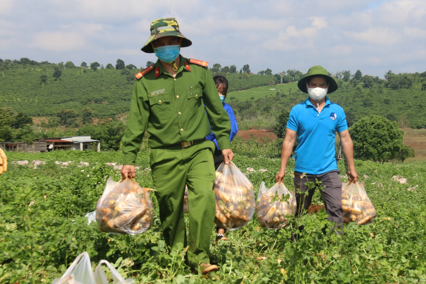 Anh nông dân "chơi lớn", gửi tặng người dân TPHCM cả vườn cải trăm triệu - Ảnh 8. Anh nông dân "chơi lớn", gửi tặng người dân TPHCM cả vườn cải trăm triệu - Ảnh 8.