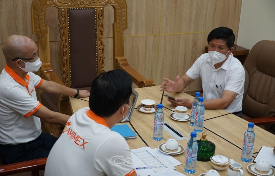 Cà Mau: Nhiều nông dân ồ ạt bắt &quot;tôm non&quot; đem bán &quot;chạy dịch Covid-19, doanh nghiệp mua tôm nói gì? - Ảnh 1.