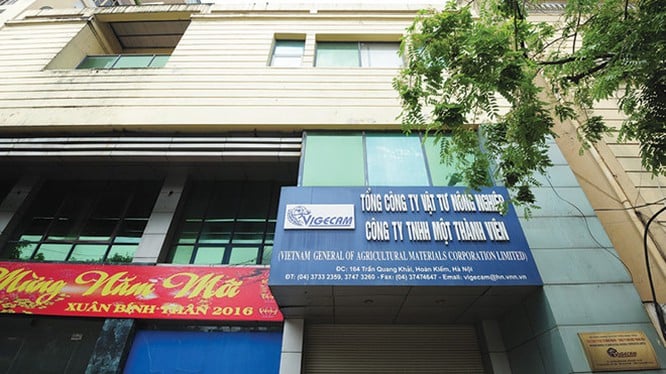 Từ Đầu tư Hoàn Kiếm, &quot;hé lộ&quot; hệ sinh thái nông nghiệp nghìn tỷ đồng xoay quanh Vigecam - Ảnh 2.