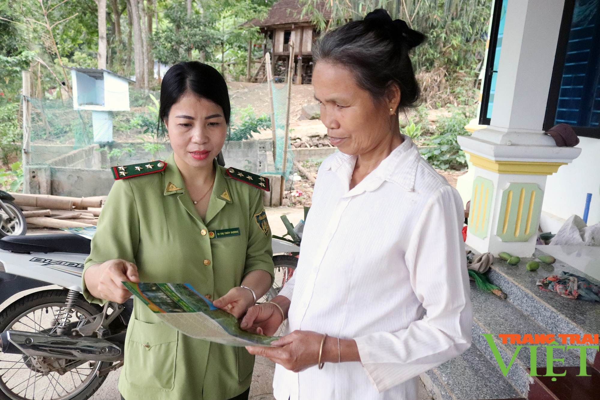 Phù Yên làm tốt công tác quản lý, bảo vệ rừng - Ảnh 4.